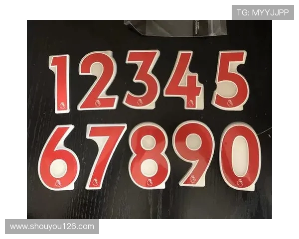 2019年英超球员名单及赛季表现回顾