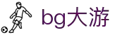 BG大游(集团)唯一官方网站